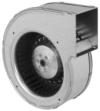 G2E133DN7701.jpg