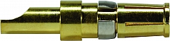 09 69 18 17821 elektrischer Kontakt, gerade, gedreht, kurze Ausführung, Betriebsstrom: 20 A, Buchse 0969181X421.TIF__CMYK.JPG