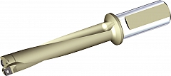 Wendeplattenbohrer BODY D=12MM 5XD SHANK 20MM L4 max= / 60.4340 100140280.jpg