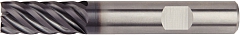 Schaftfräser VHM D507 6FL 10X10X14X66 D1= 10.0000 / L= 66.0000 Weldon 100037291.jpg